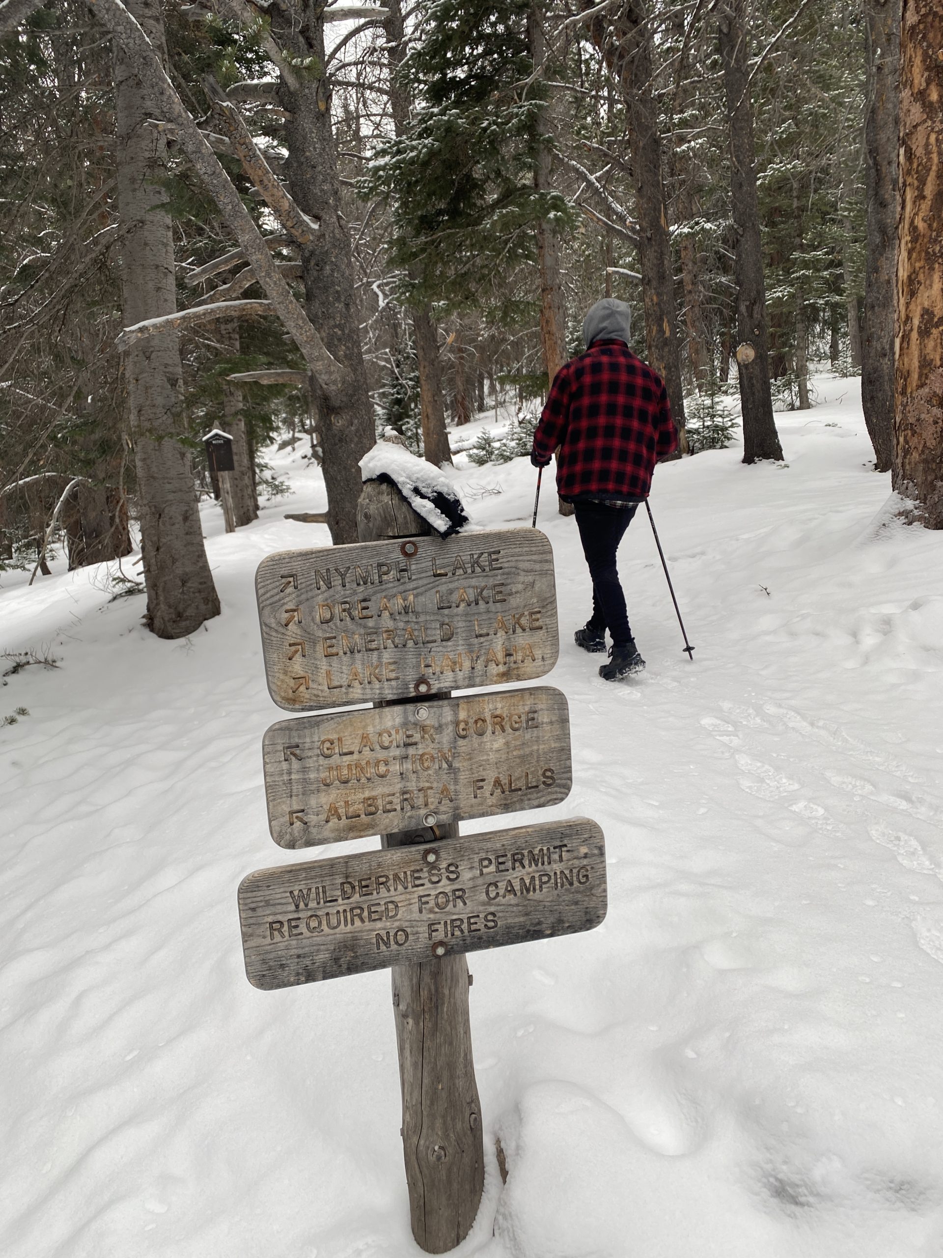 Trail Signs in the Winter