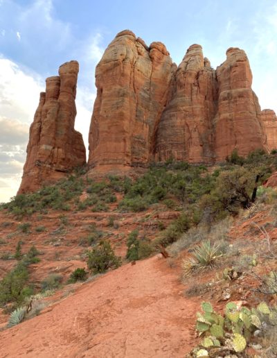 Prickly Pear Cactus on a Trail with Large Red Rocks