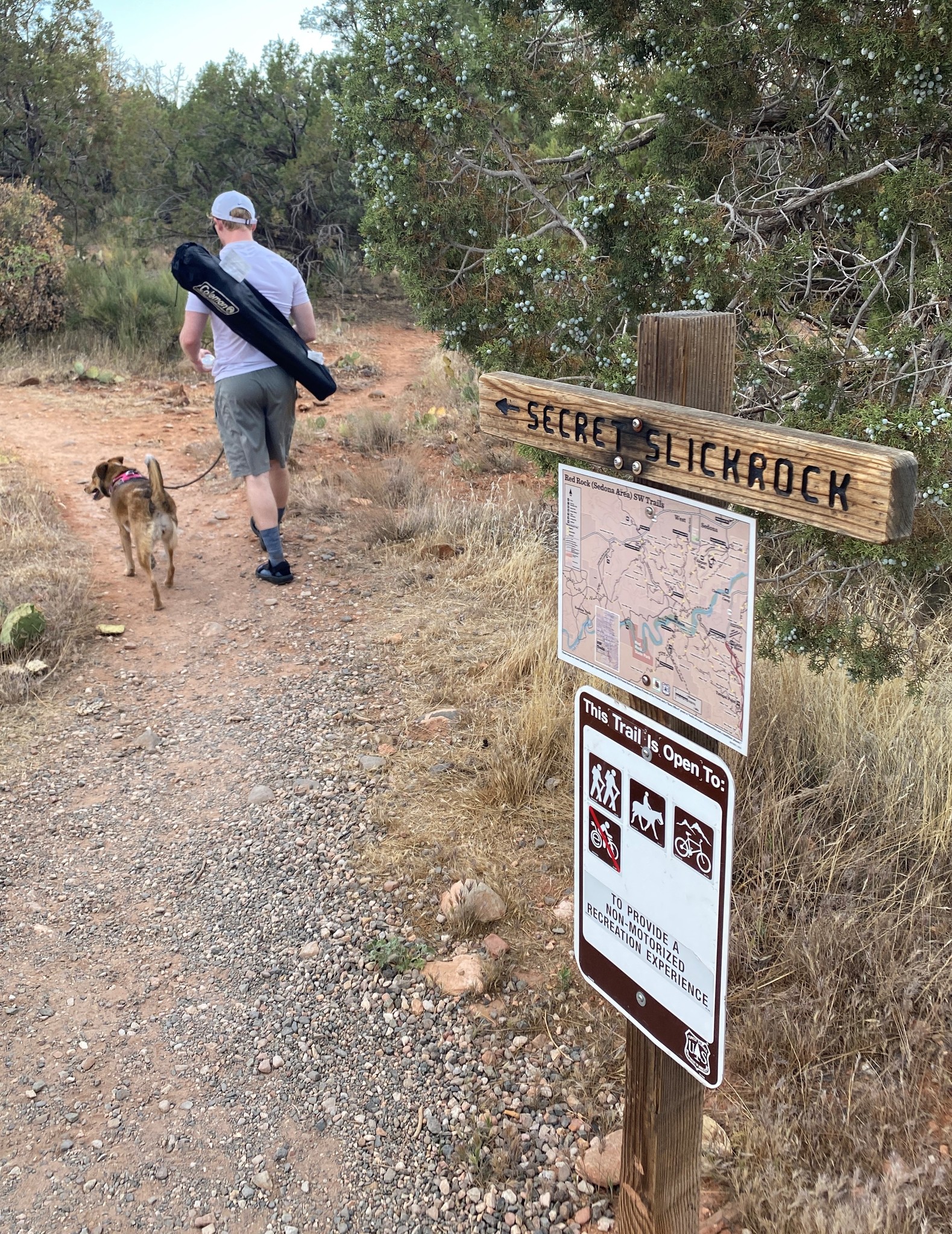 Person Walking a Dog Near Trail Sign