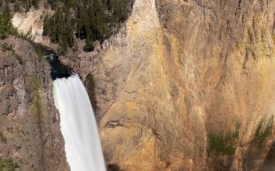 Top 10 Things You Need to See In Yellowstone To Make Your Trip Perfect