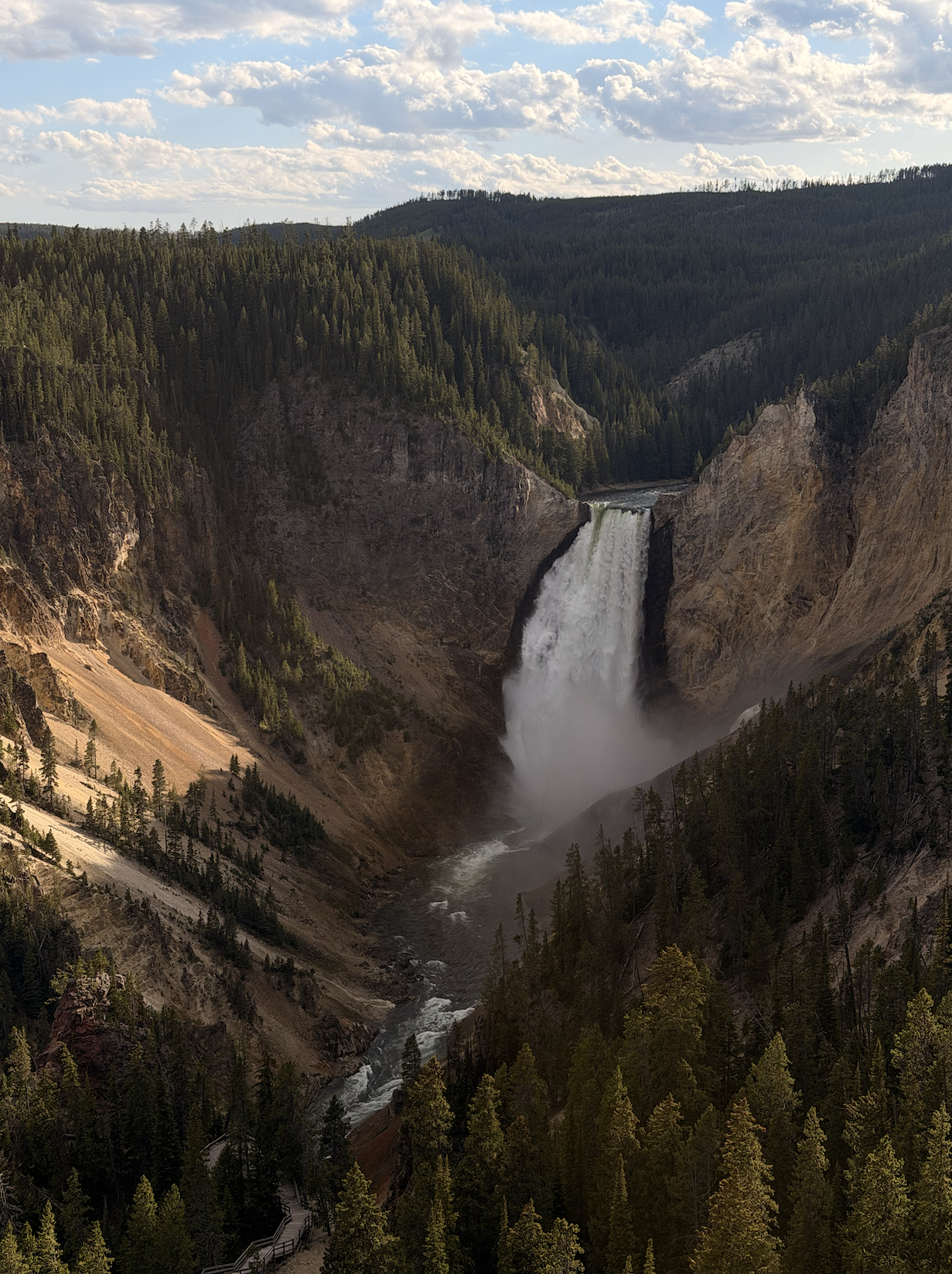 Lower Falls of the Yellowstone River viewed from Artist Point, Grand Canyon of Yellowstone National Park