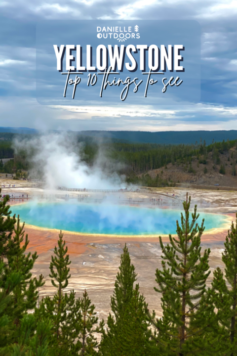 Top 10 Things You Need to See In Yellowstone To Make Your Trip Perfect ...