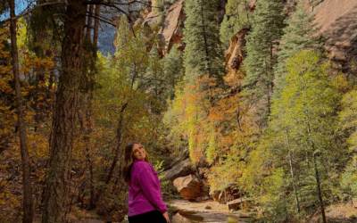 Fall Colors in Arizona: Best Places to See Them