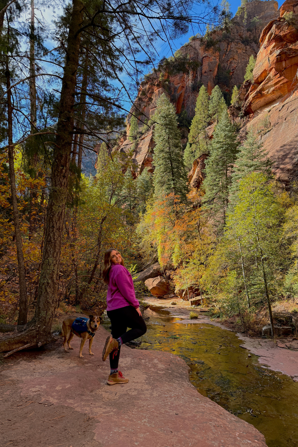 Fall Colors in Arizona: Best Places to See Them