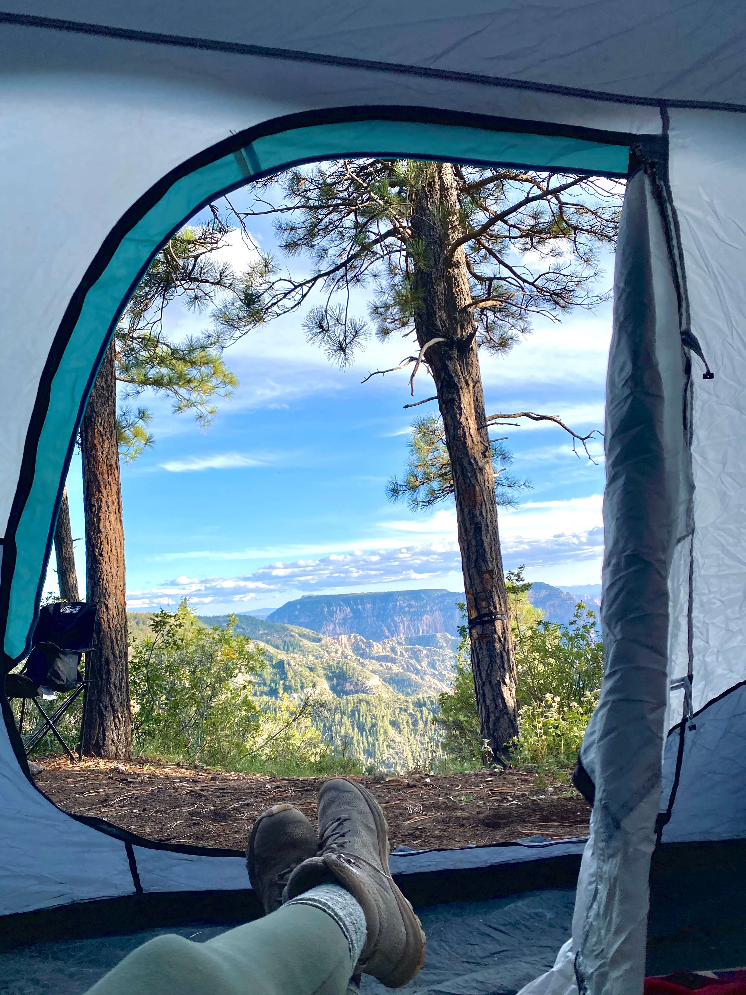 View out of a Tent