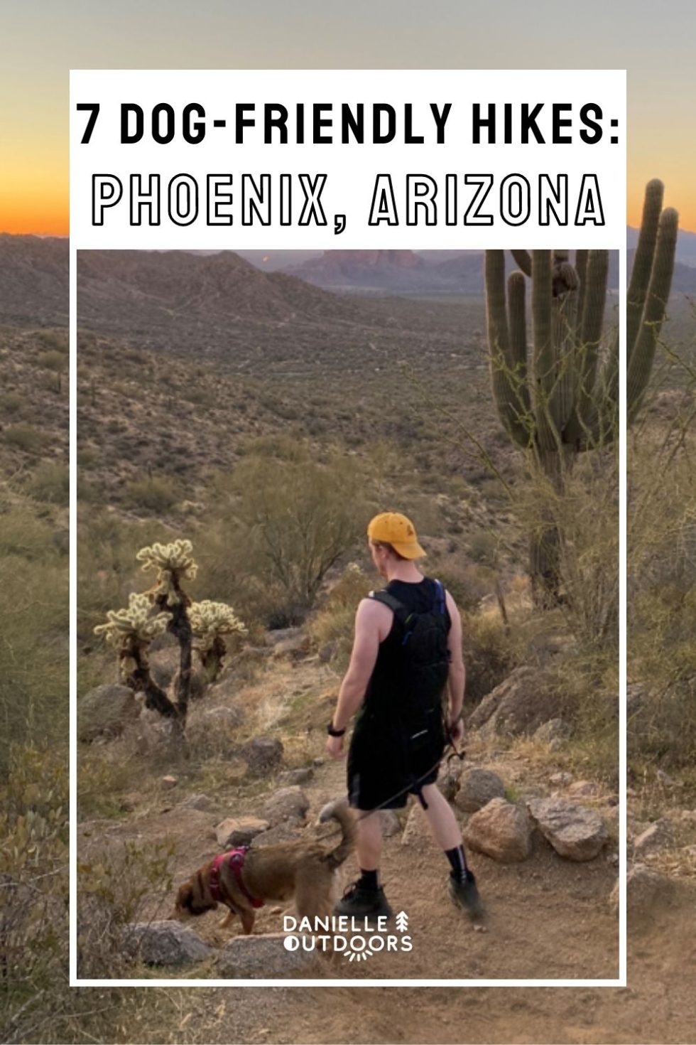 Best DogFriendly Hikes in Phoenix Your Pup Will Love Danielle Outdoors