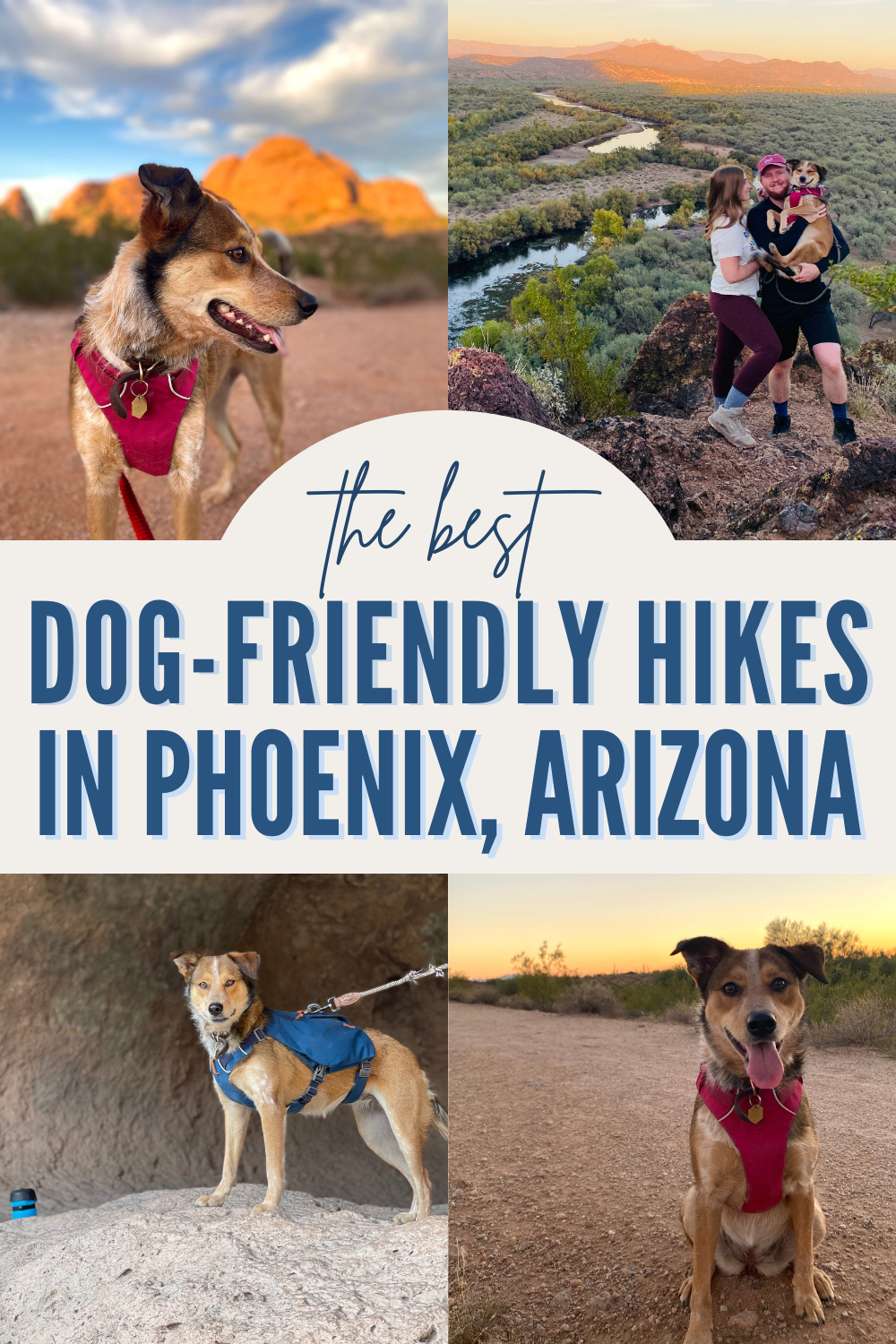 Dog-Friendly Hikes