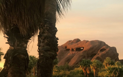 Things To Do in Tempe, Arizona (from a Local!)