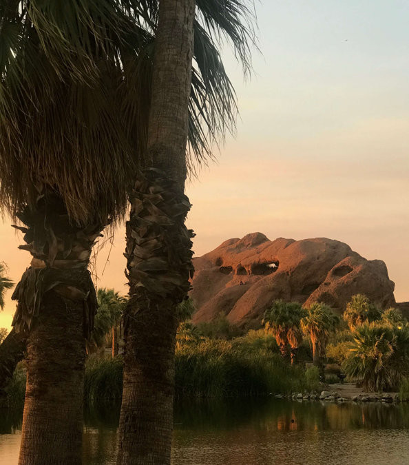 Things To Do in Tempe, Arizona (from a Local!)