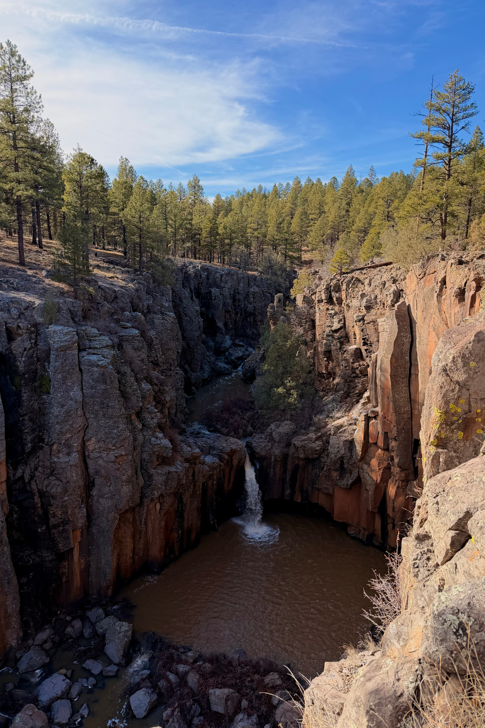 photo of a waterfall in a forest environment