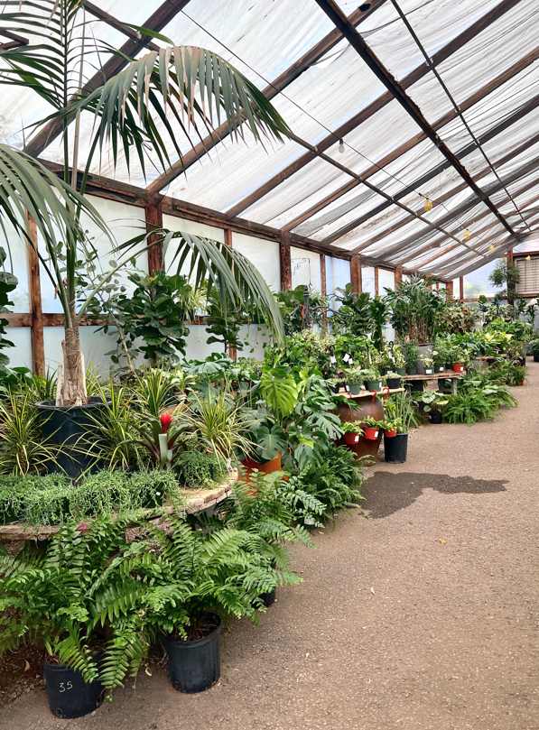 Greenhouse of Plants