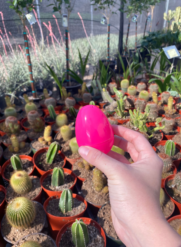 easter egg at a plant nursery