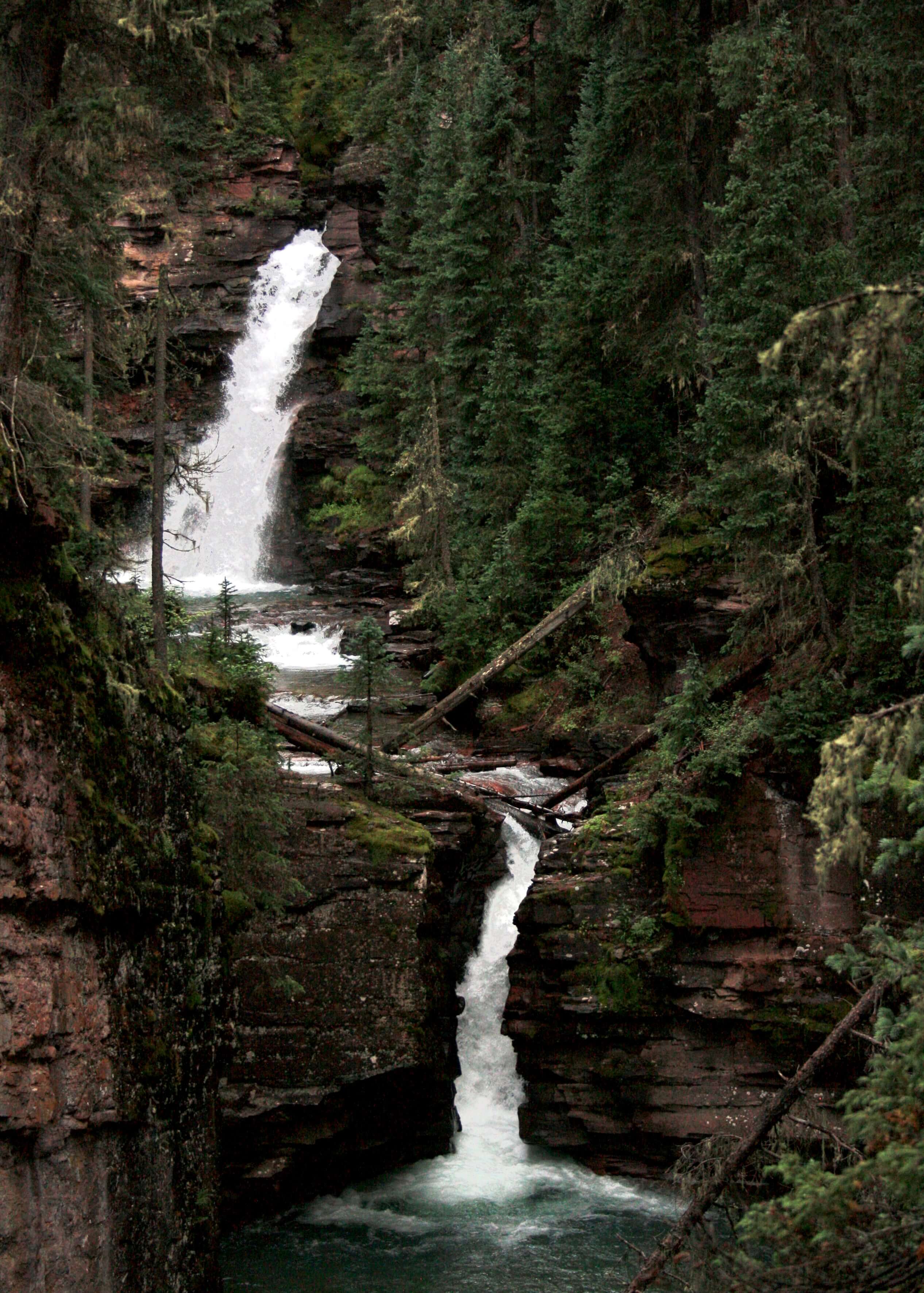 Two-Tiered Waterfall within the Forest