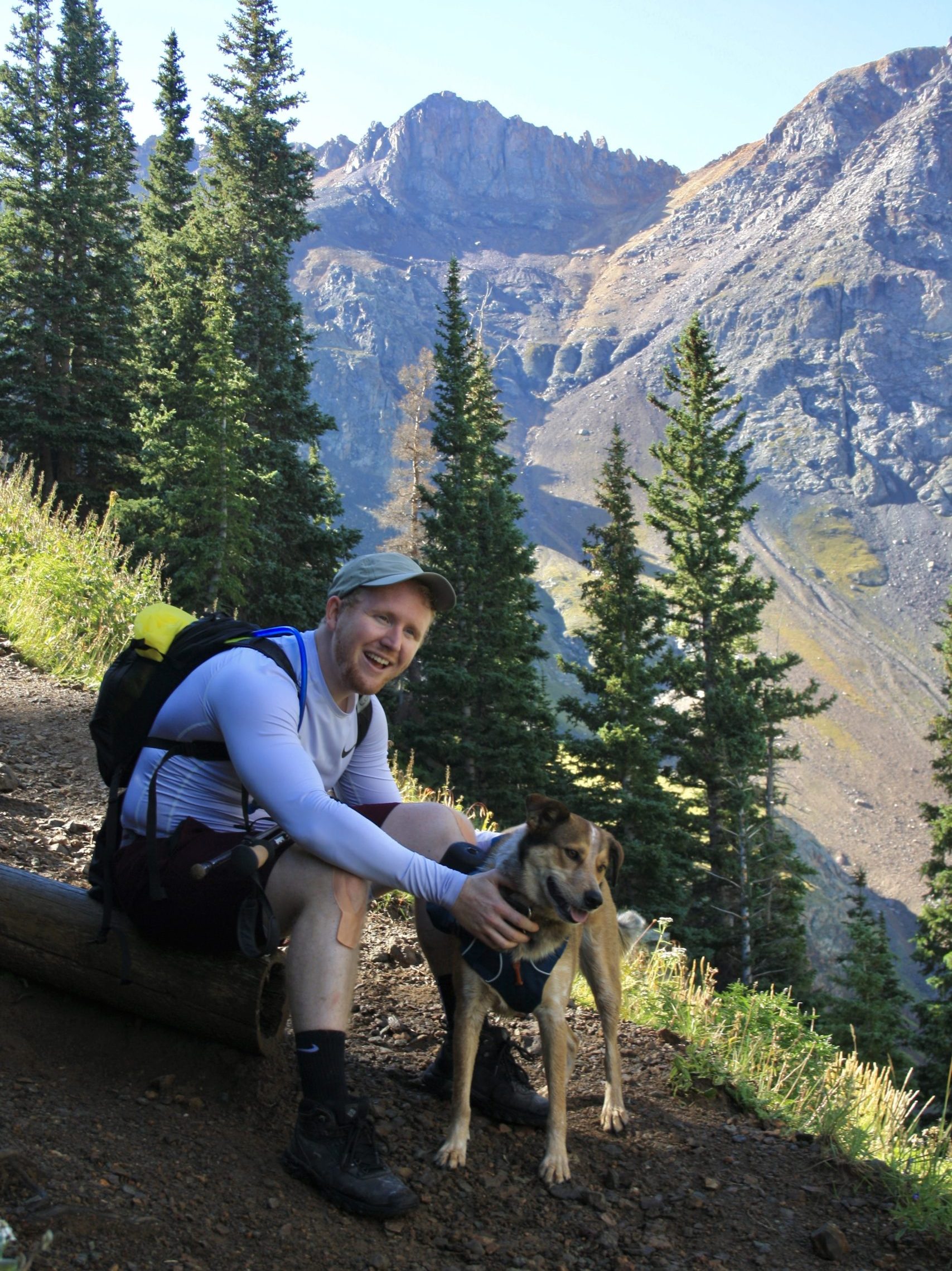 Dog and Man on a Slope of Trees and Mountains