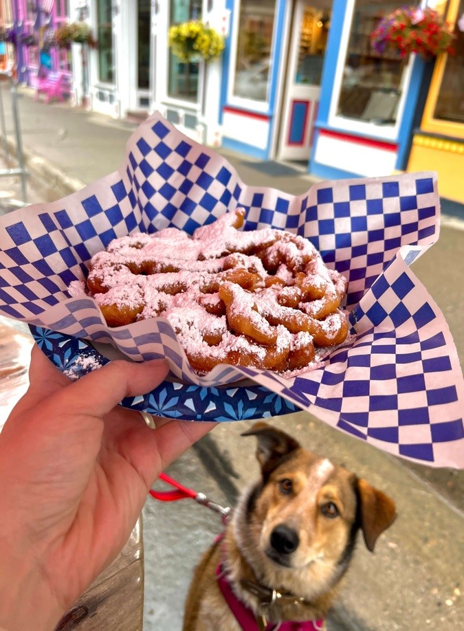 Dog Staring at Funnel Cake with Powdered Sugar