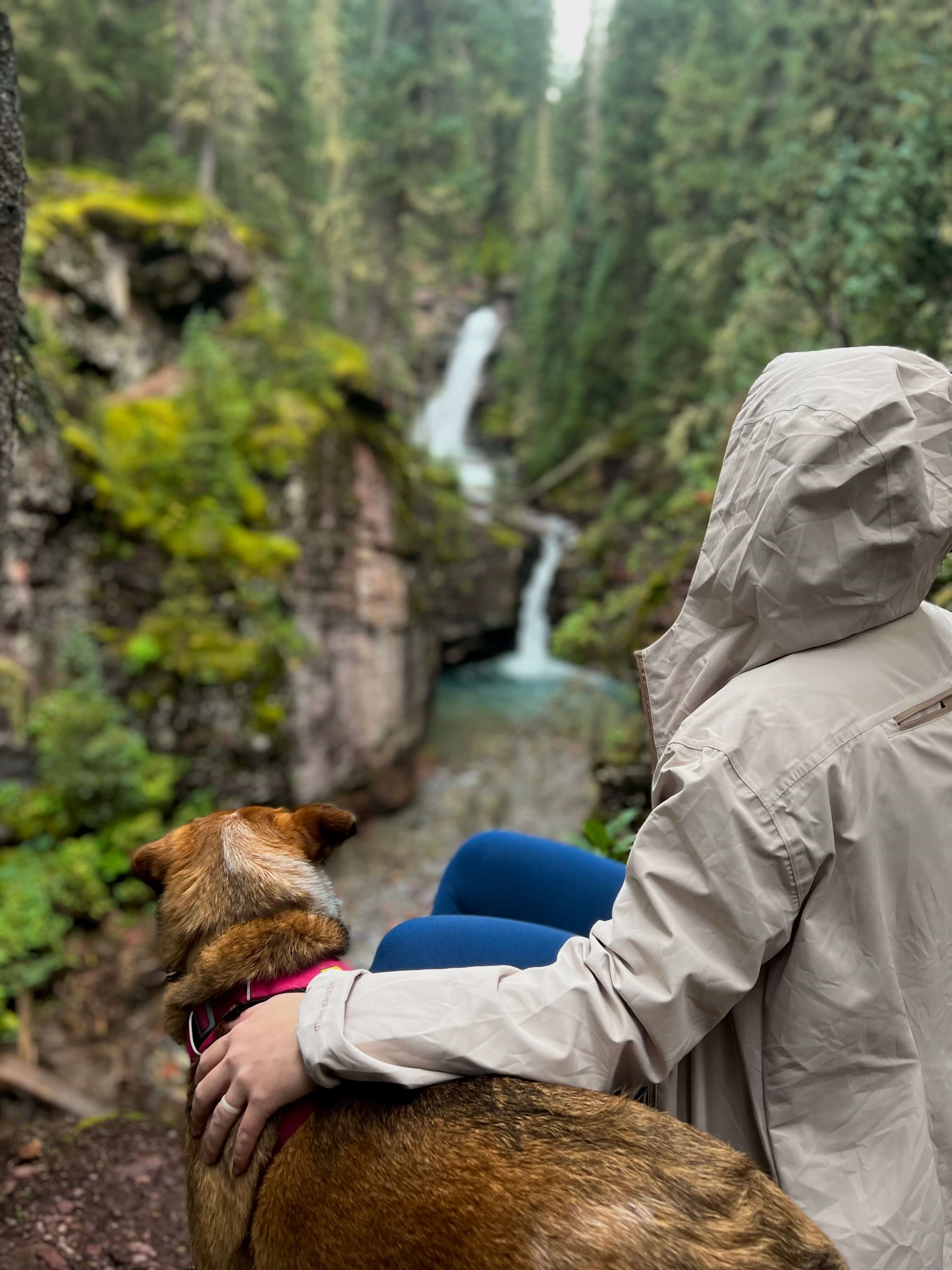 Girl with a Tan Jacket Hugging her Dog in Nature
