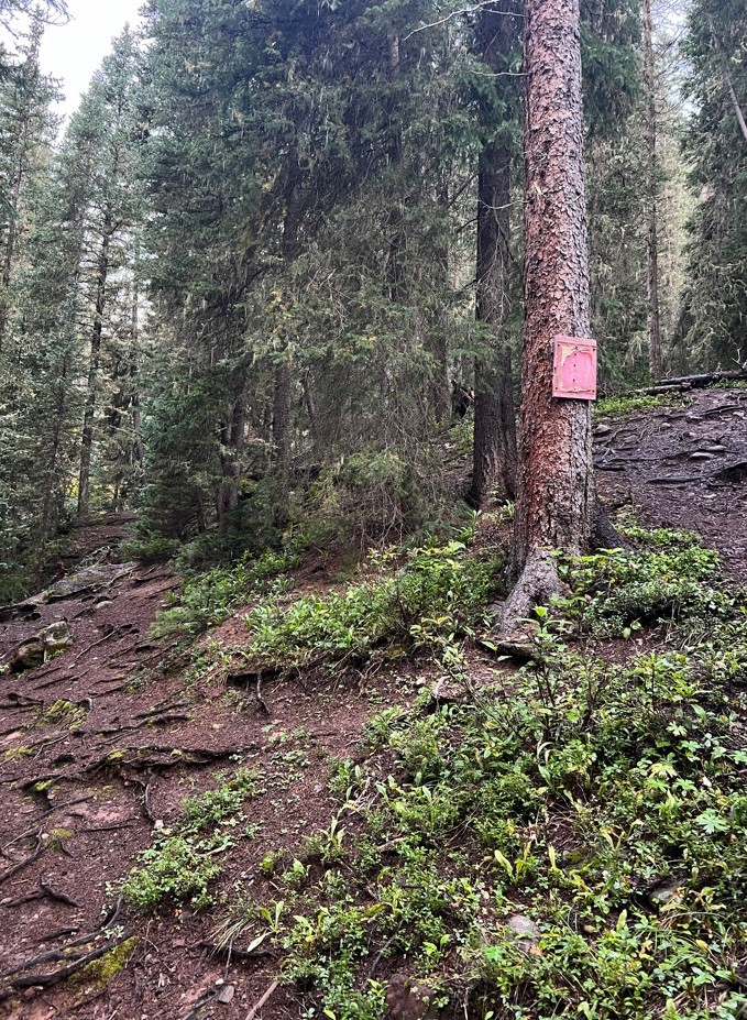 Second Sign to South Mineral Fork Creek Falls