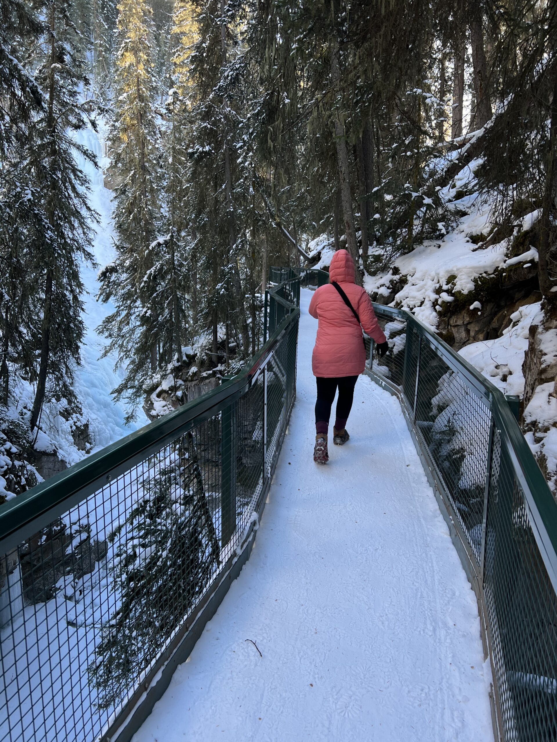 Girl in a Pink Coat Walking on a Walkway in the Forest