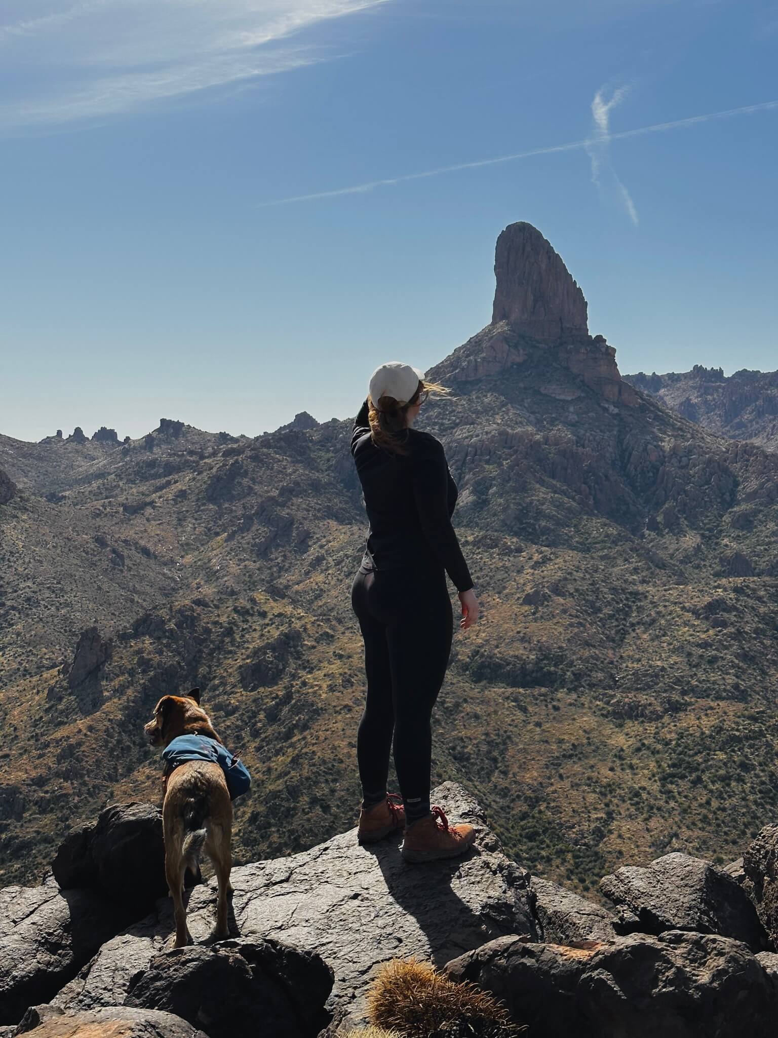 Girl in Black Looking out on the Mountains with a Small Dog