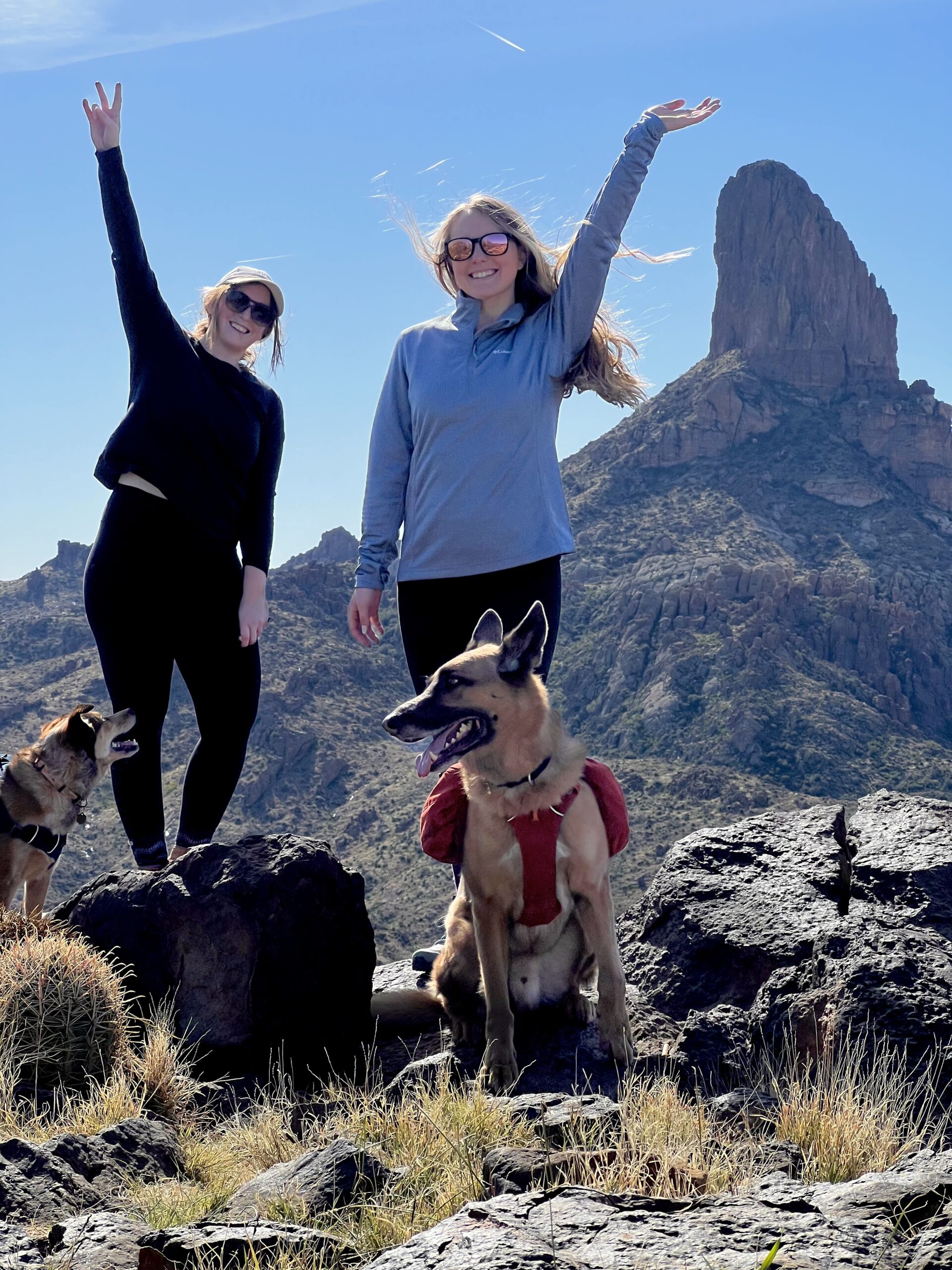 Two Girls Raising their Hand with Two Dogs