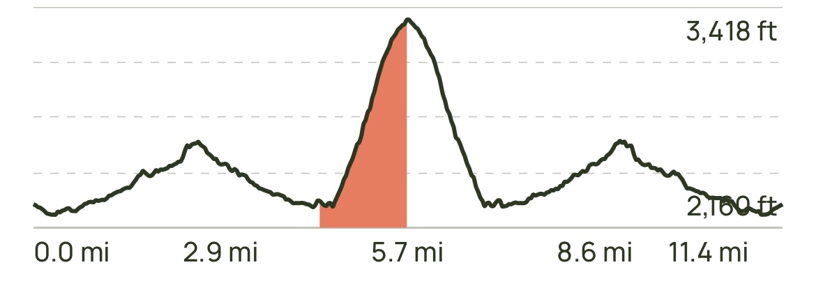 https://www.alltrails.com/trail/us/arizona/black-top-mesa-trail#:~:text=Experience%20this%2011.4%2Dmile%20out,during%20quieter%20times%20of%20day.