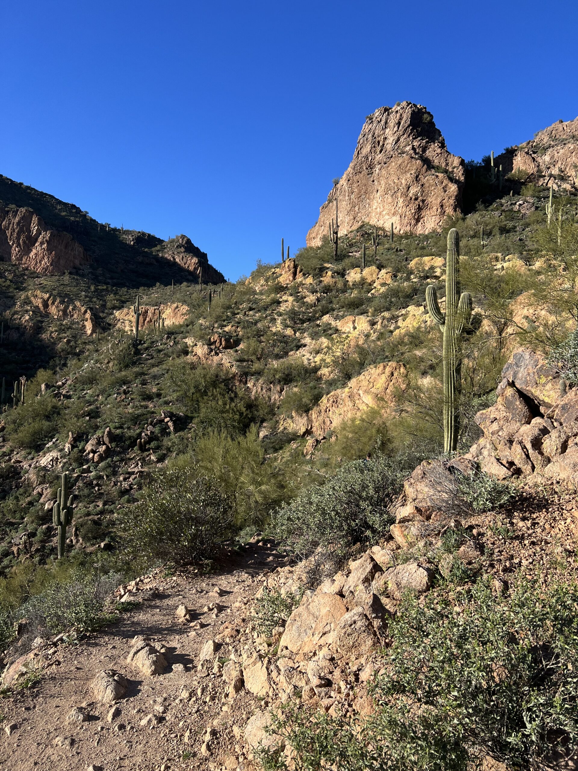 Hiking Pass Mountain Loop in Usery Mountain Regional Park - Danielle ...