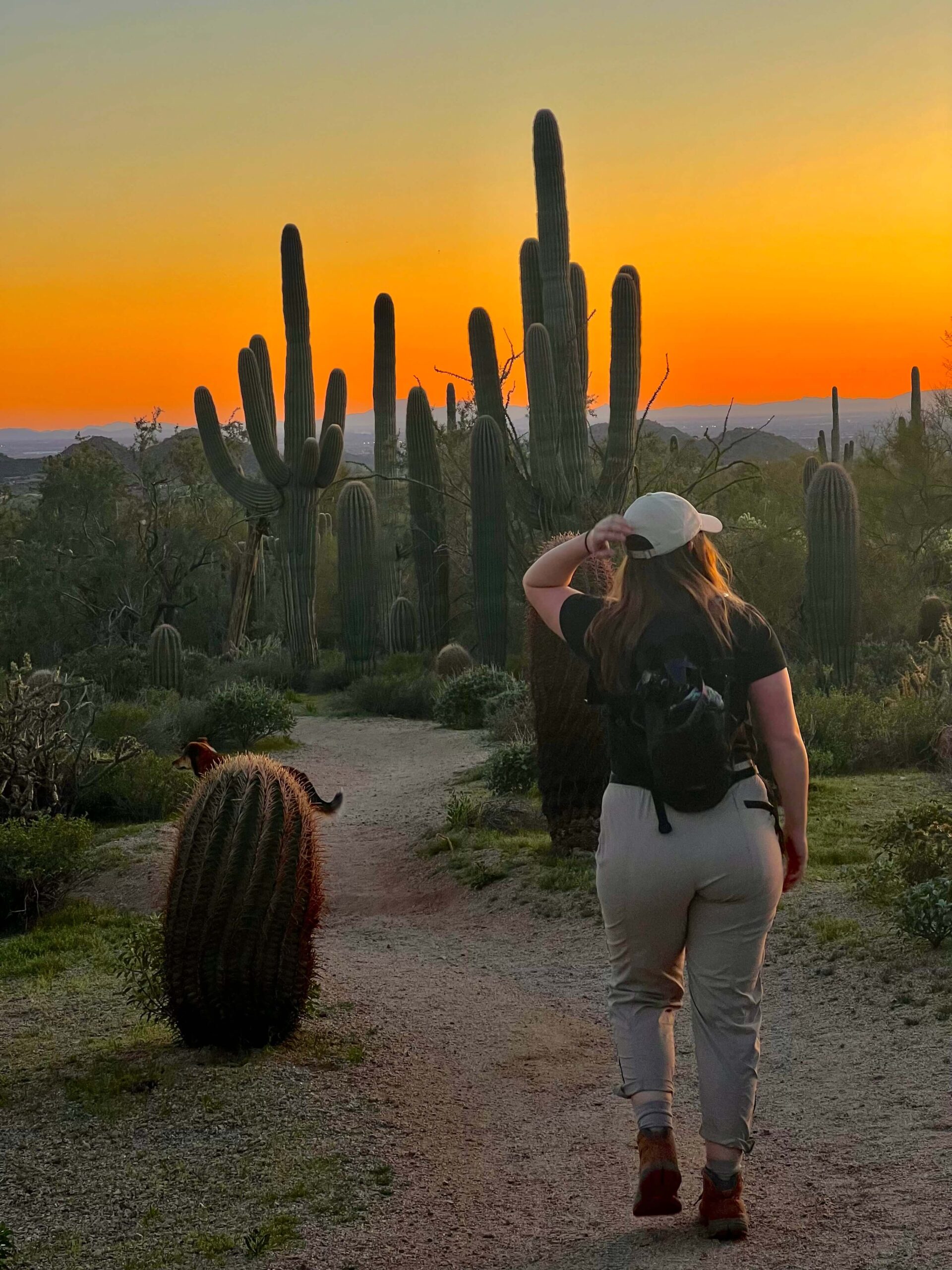 Girl in Tan Pants Hiking Around Cactus in the Sunset