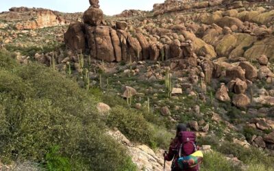 Backpacking in the Superstition Mountains in Arizona: Lone Tree
