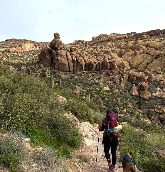 Backpacking in the Superstition Mountains in Arizona: Lone Tree at Weaver’s Needle