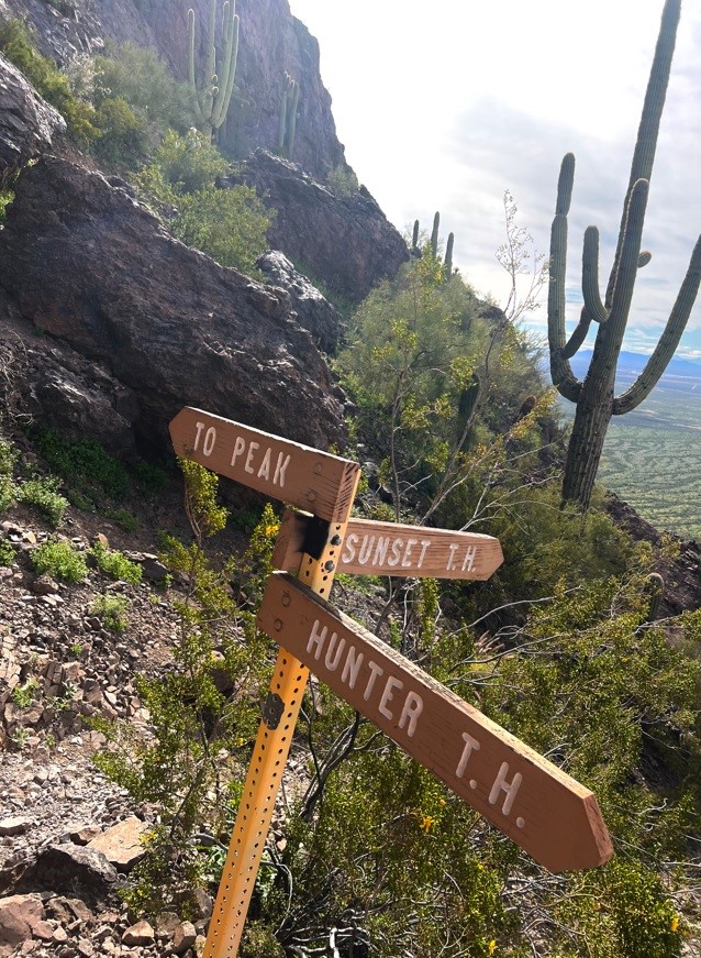 trail sign pointing to peak