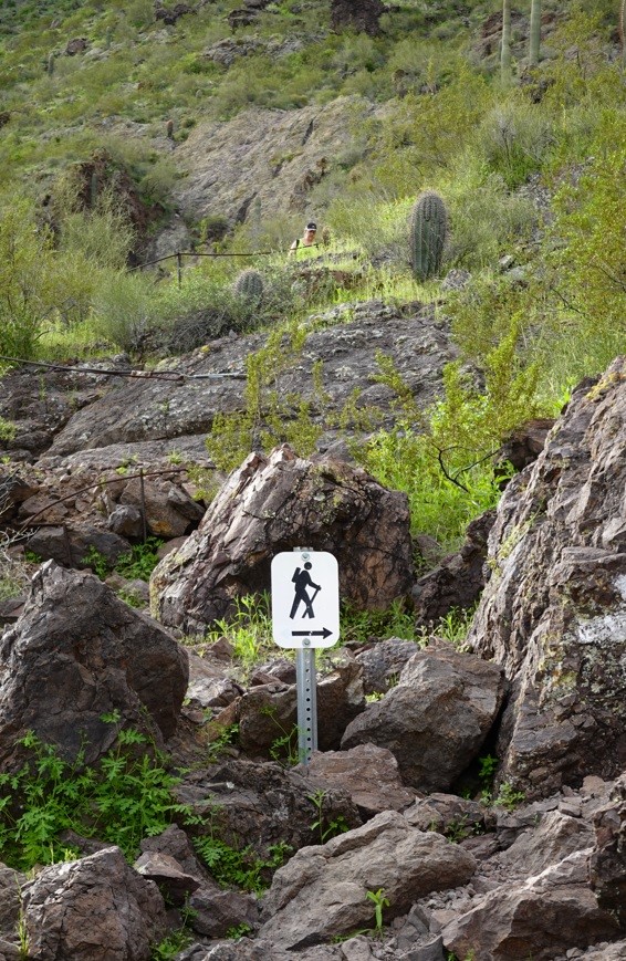 the basin on siphon draw trail