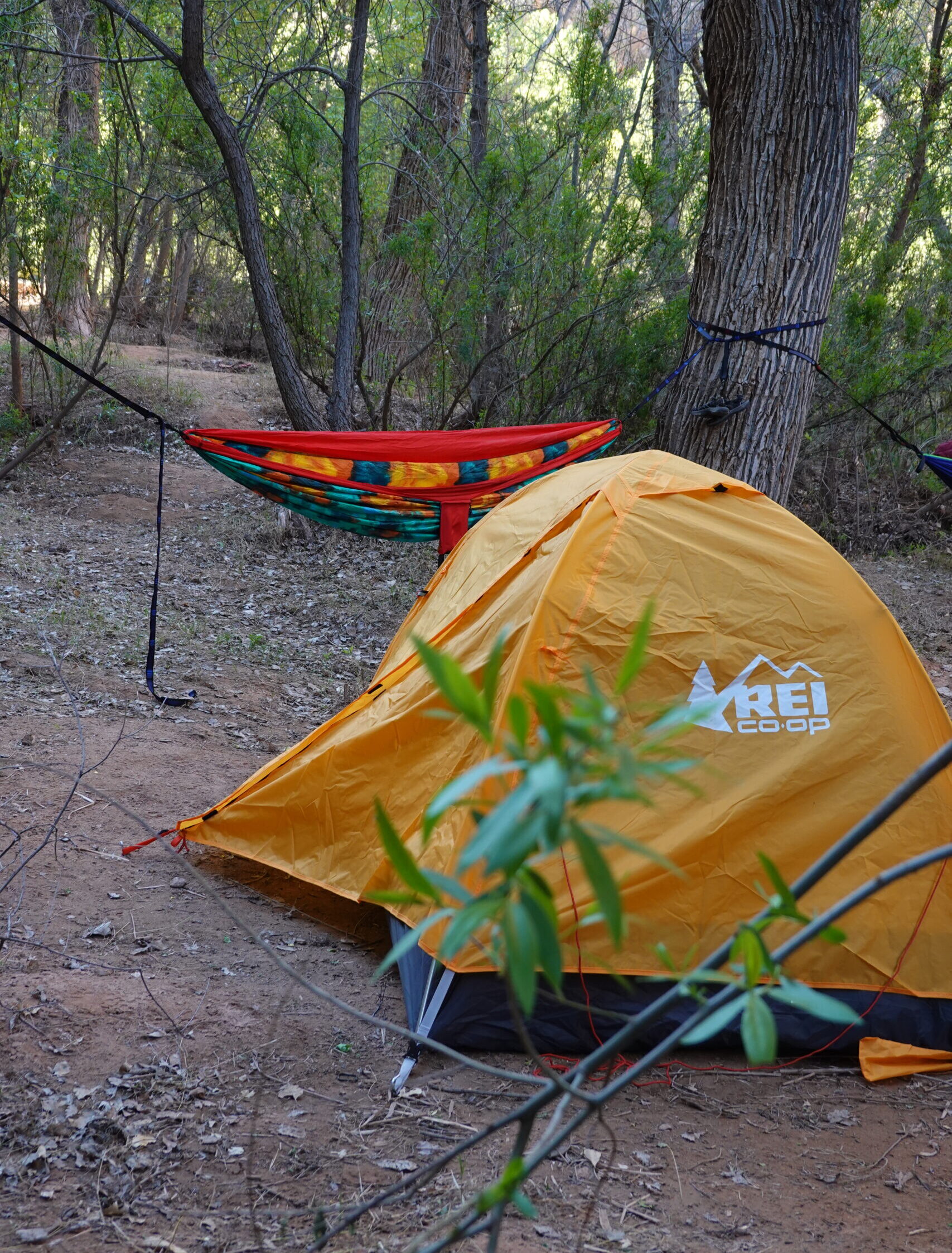 orange tent and hammock at a campsite