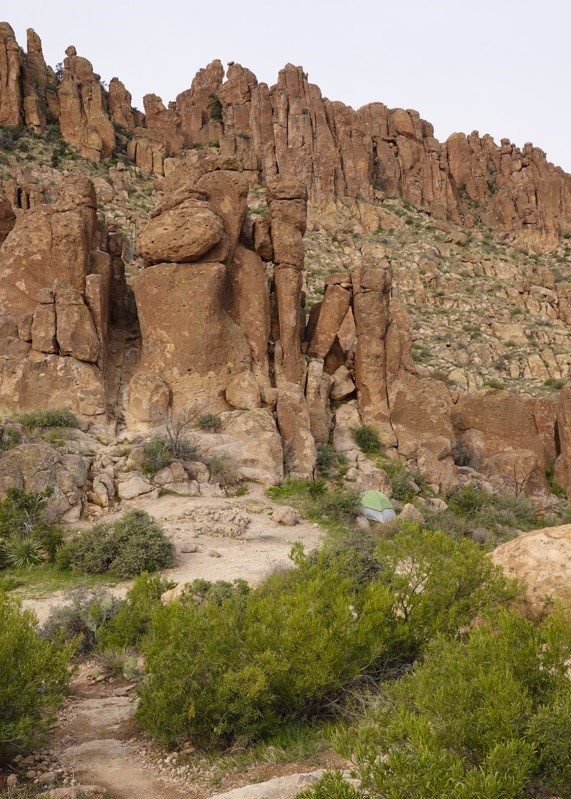 tent nestled in bushes in a rocky mountain range