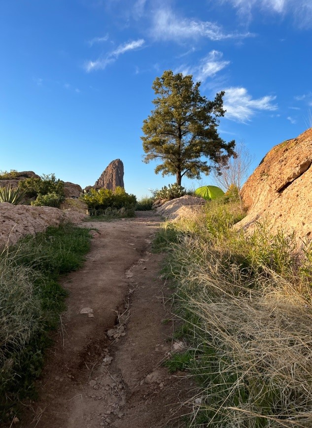 lone tree campsite in the superstitions