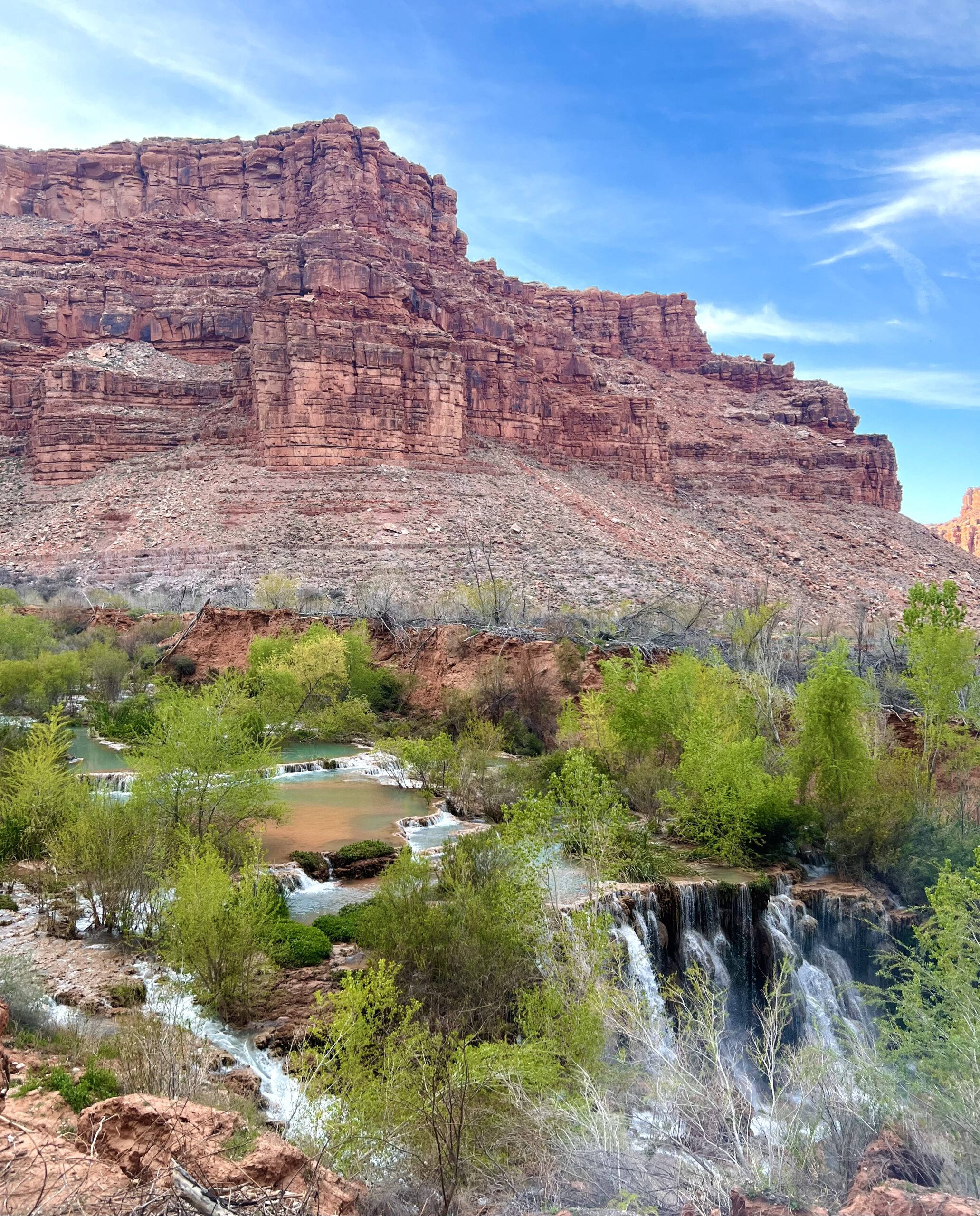 Green Trees and a Waterfall in the Grand Canyon