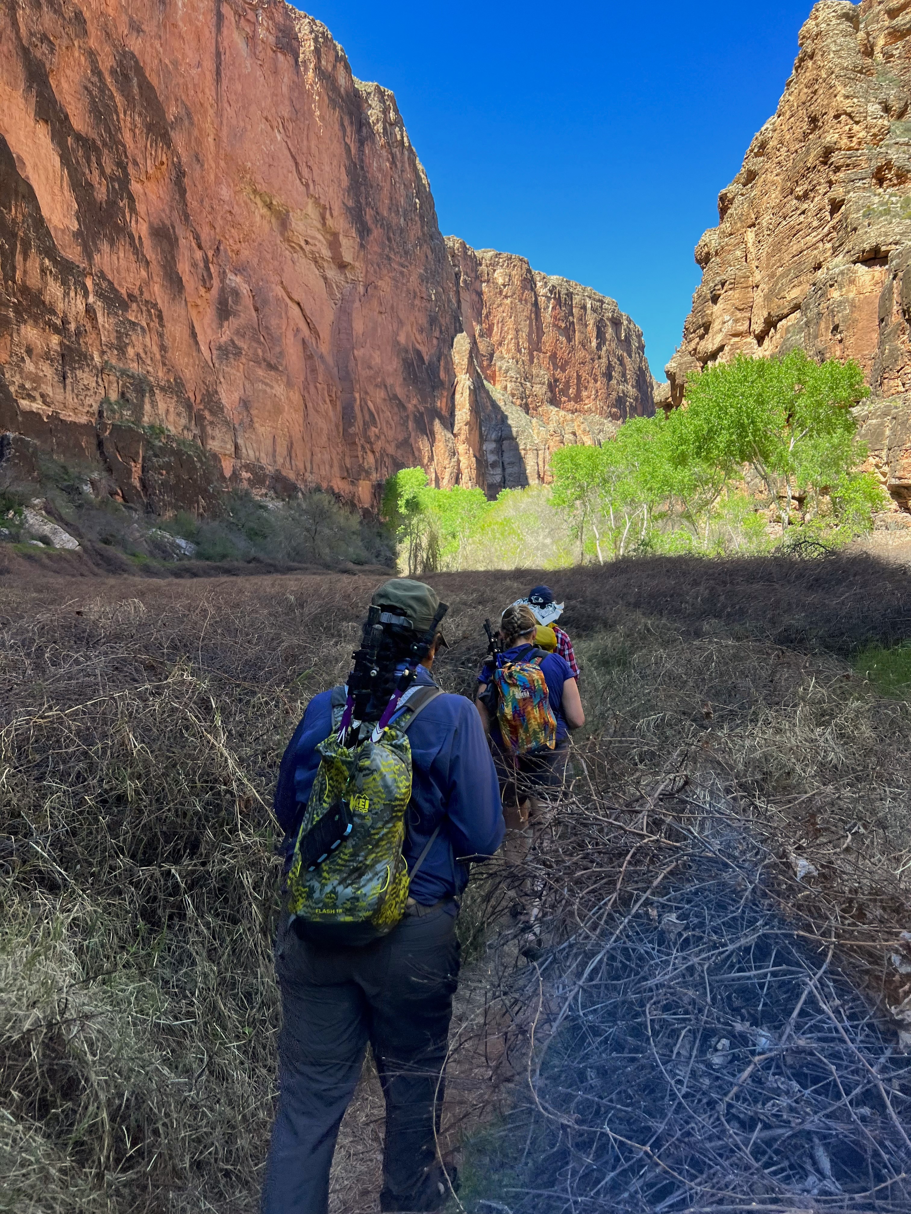 Hike to Beaver Falls in Havasupai