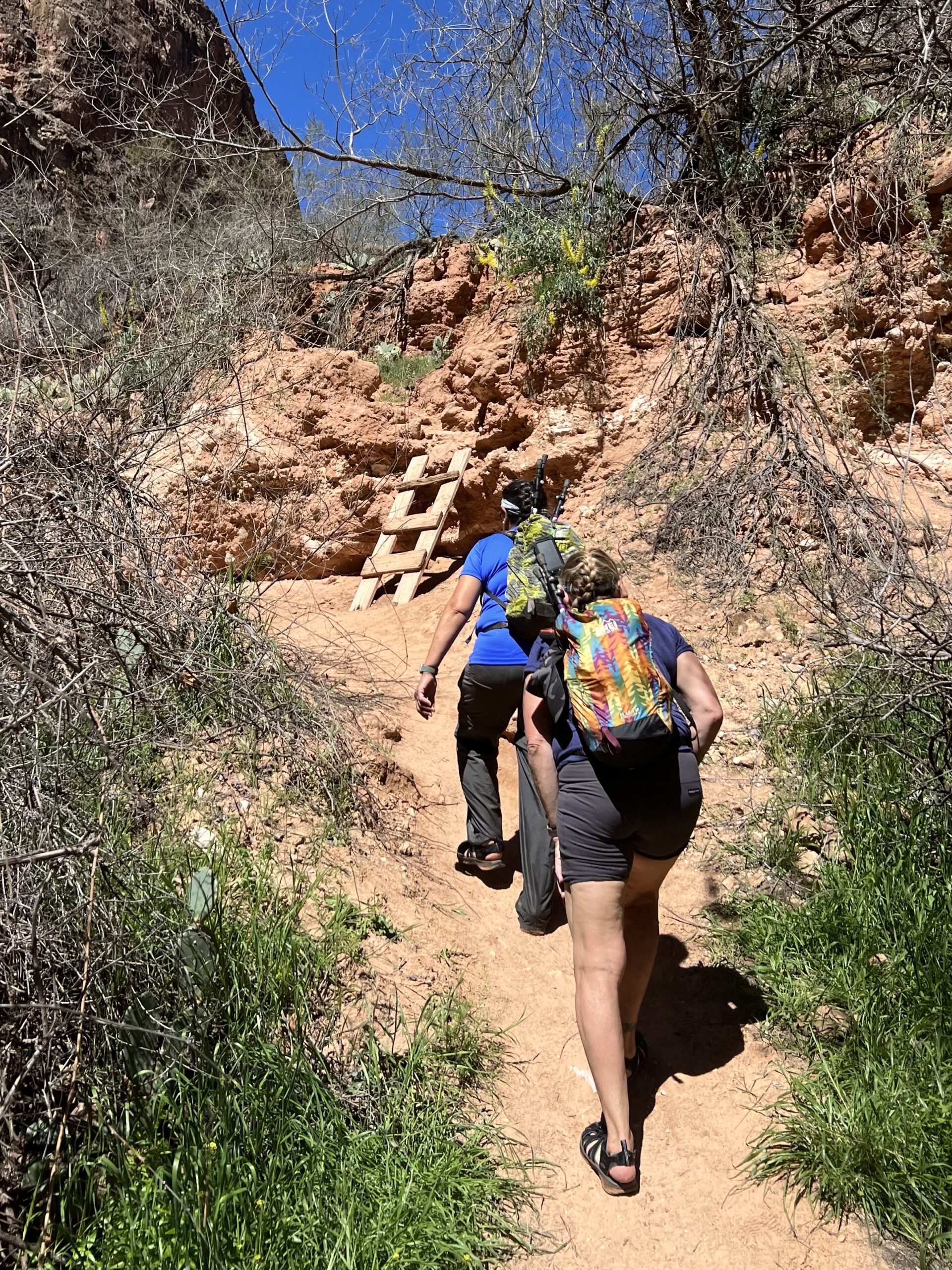 Women Hiking in the Desert