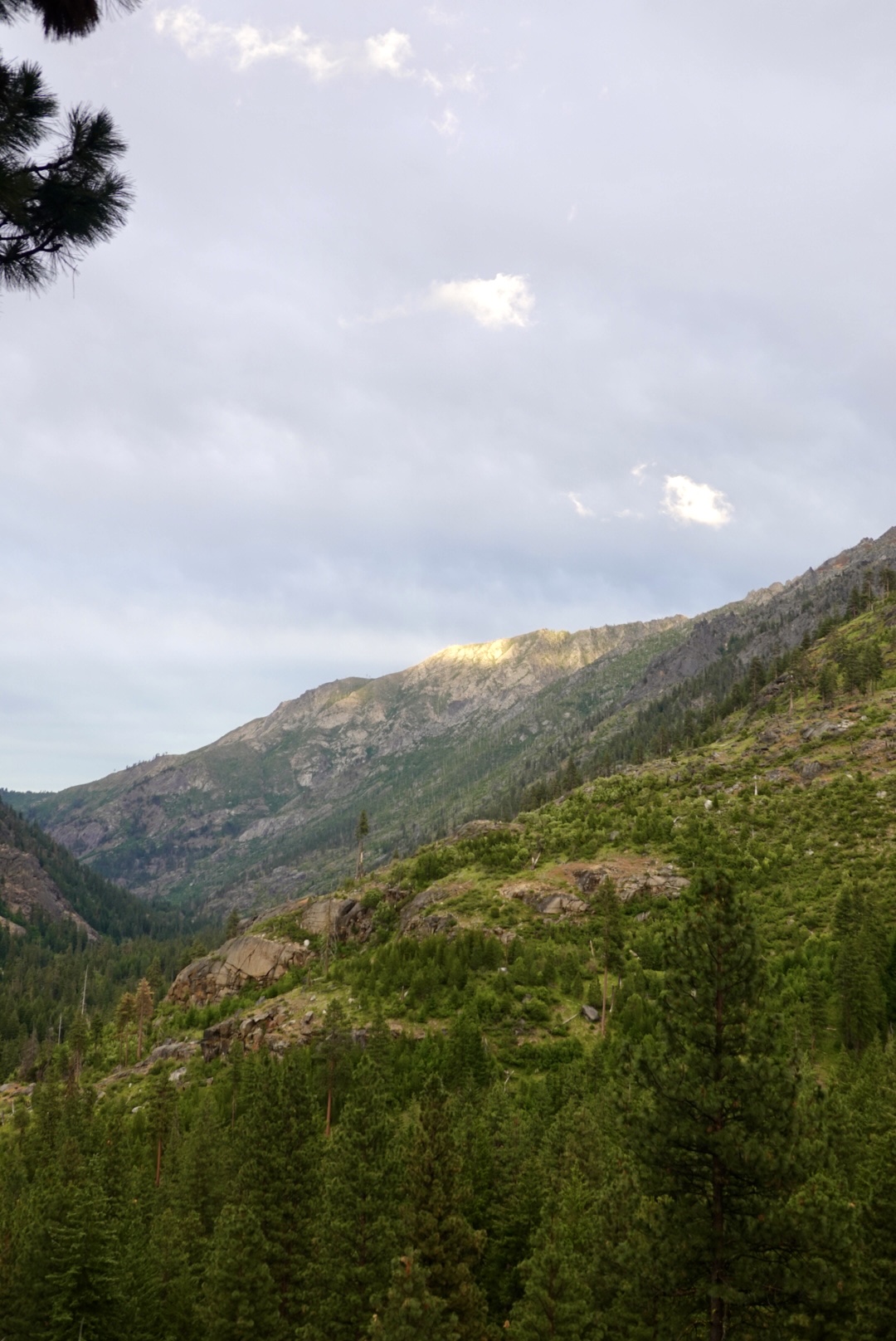 Layers of Forested Mountains on a Cloudy Day