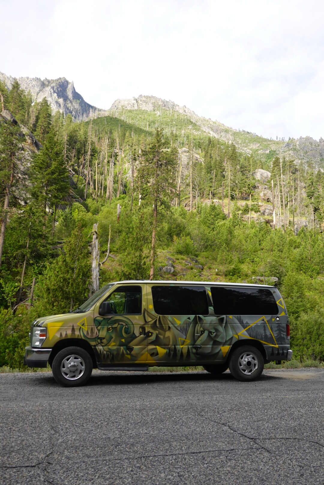 Camper Van with Painted Design in Front of the Forest