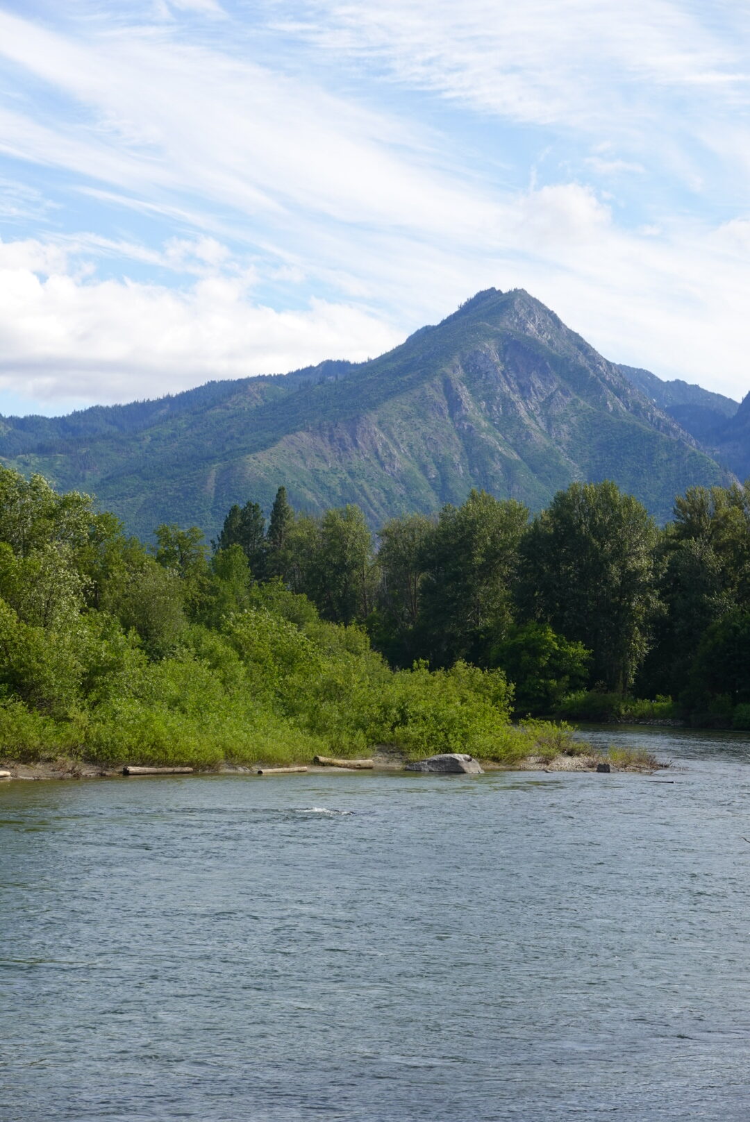 Mountain behind Layers of trees and river