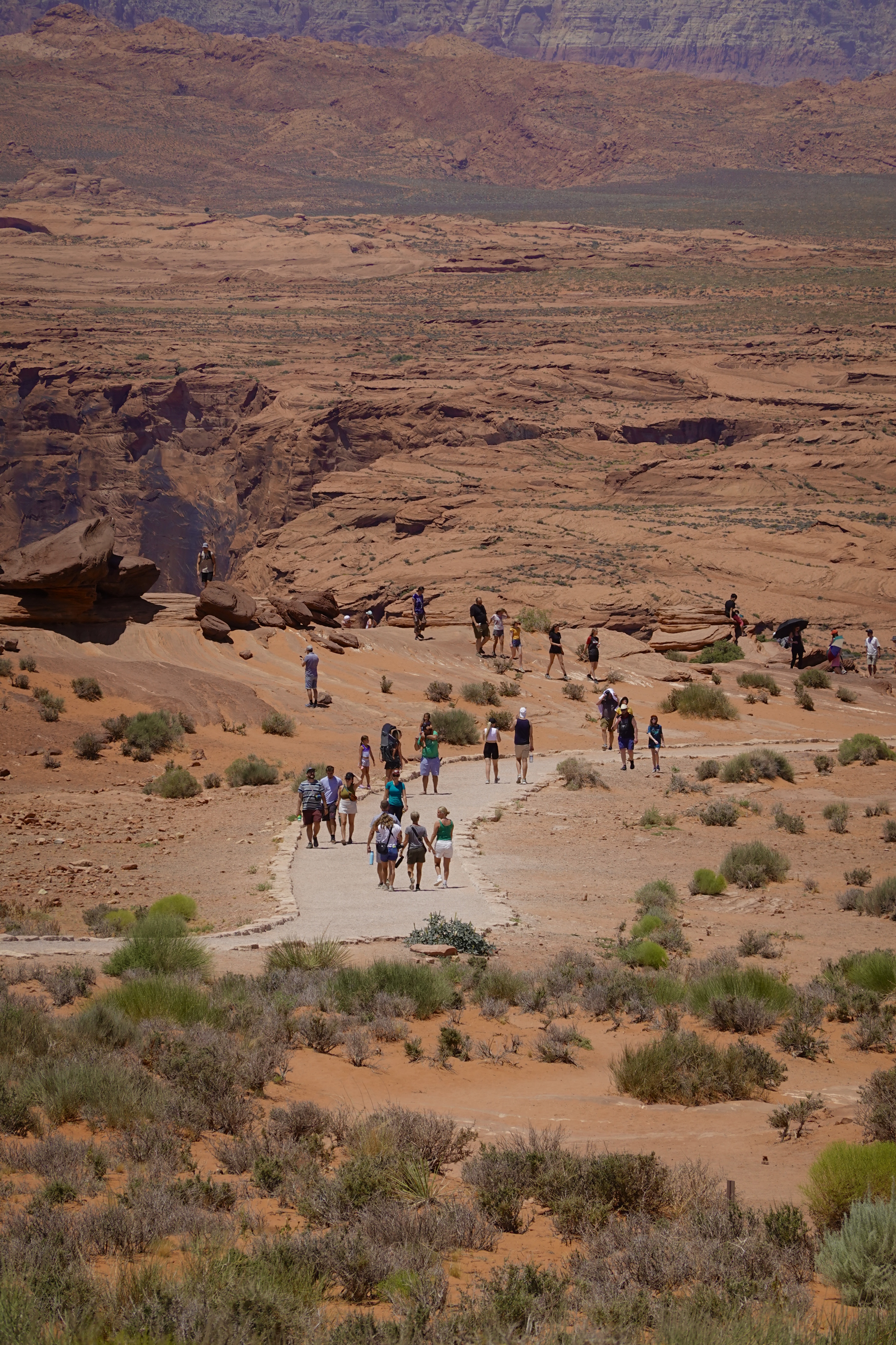 Multiple People on a Trail Made of Red Rock