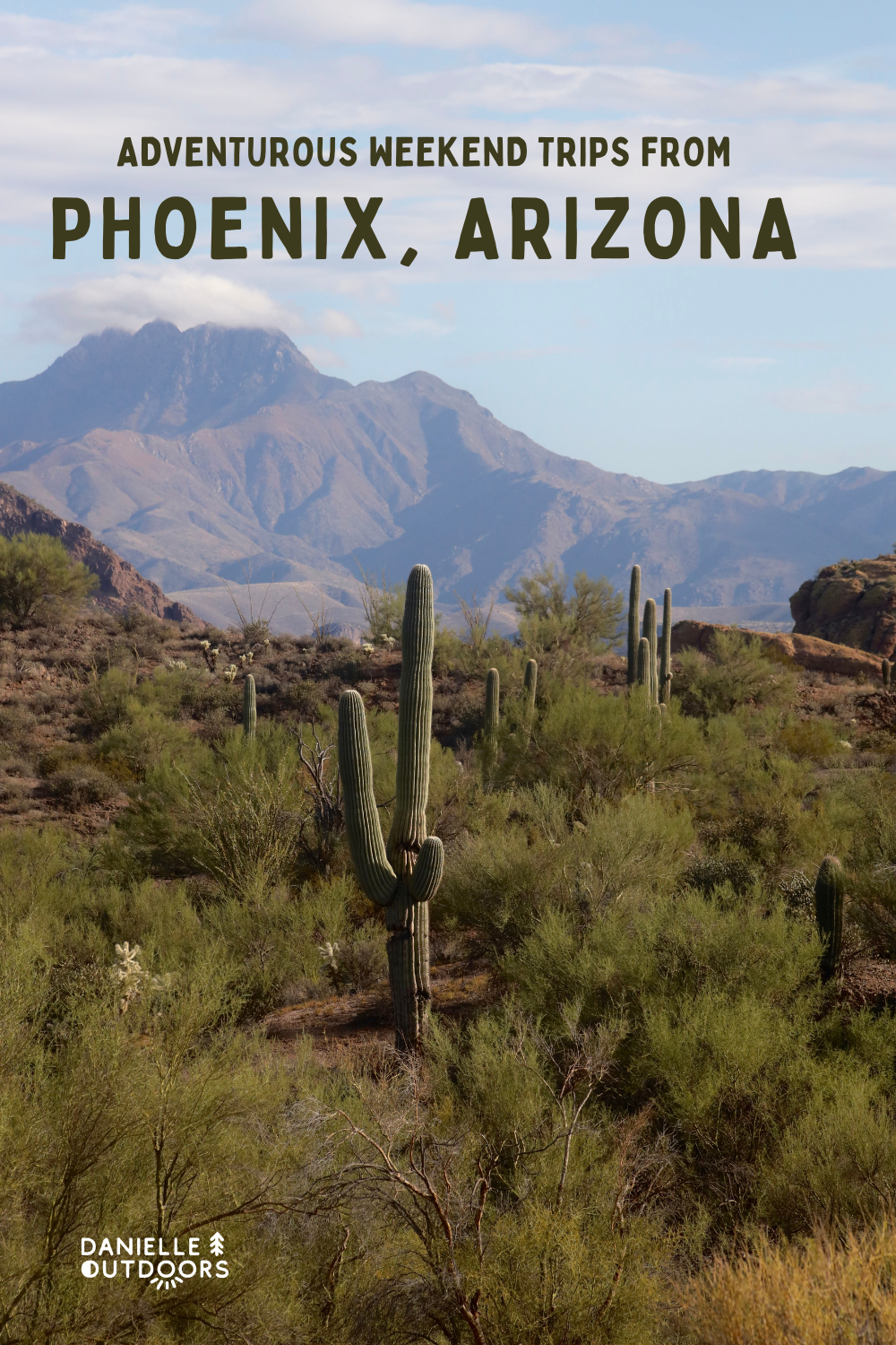 mountain and cactus