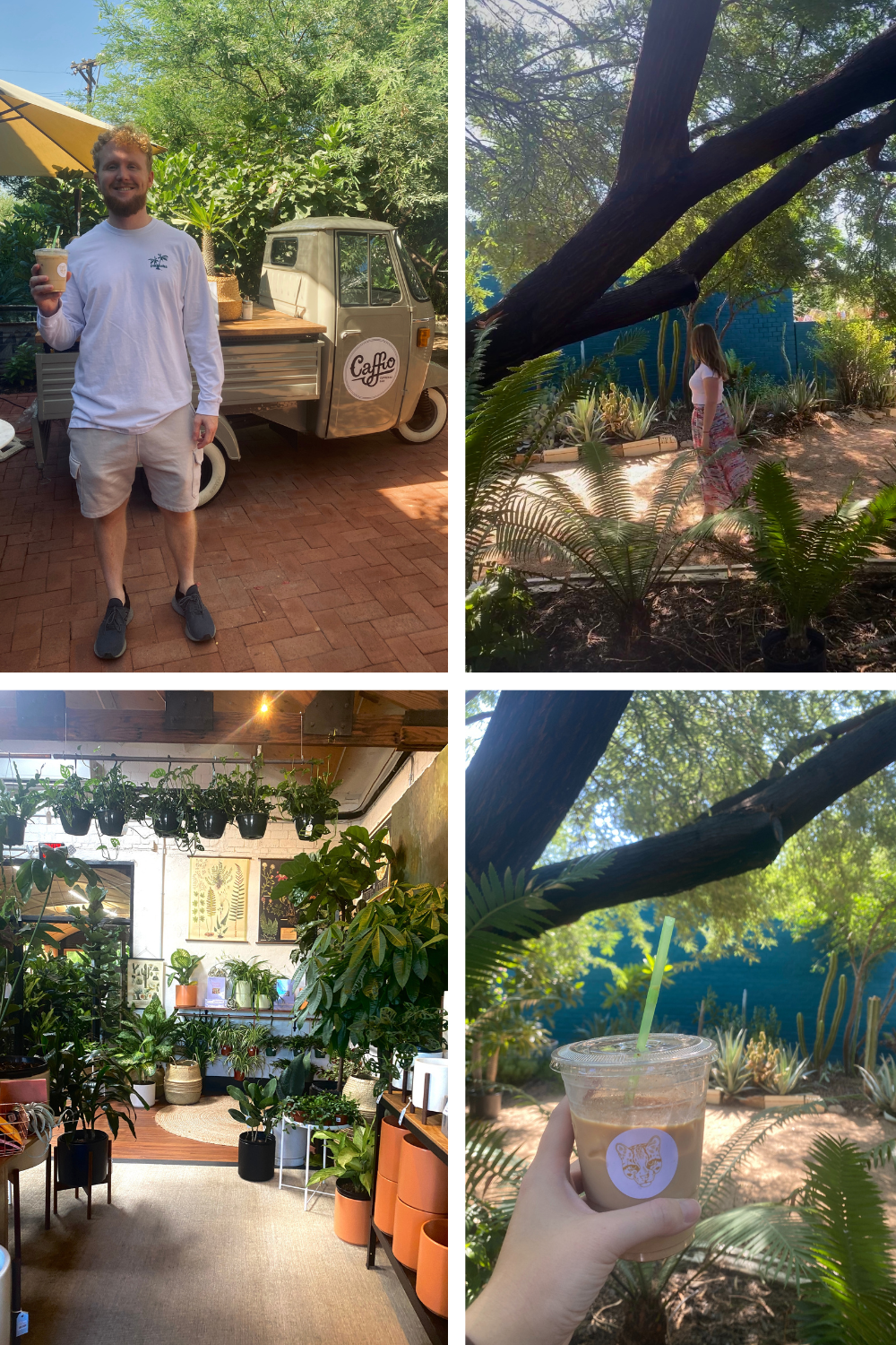 multiple photos of a man holding coffee and other plants