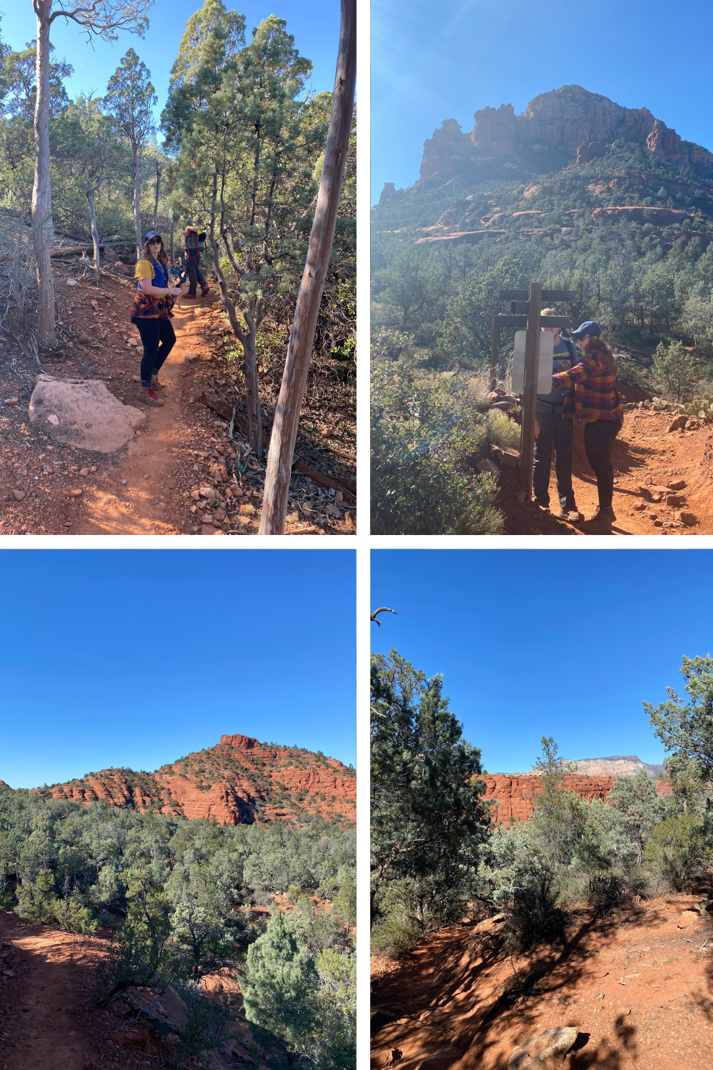 photos of red rock and green trees with hikers