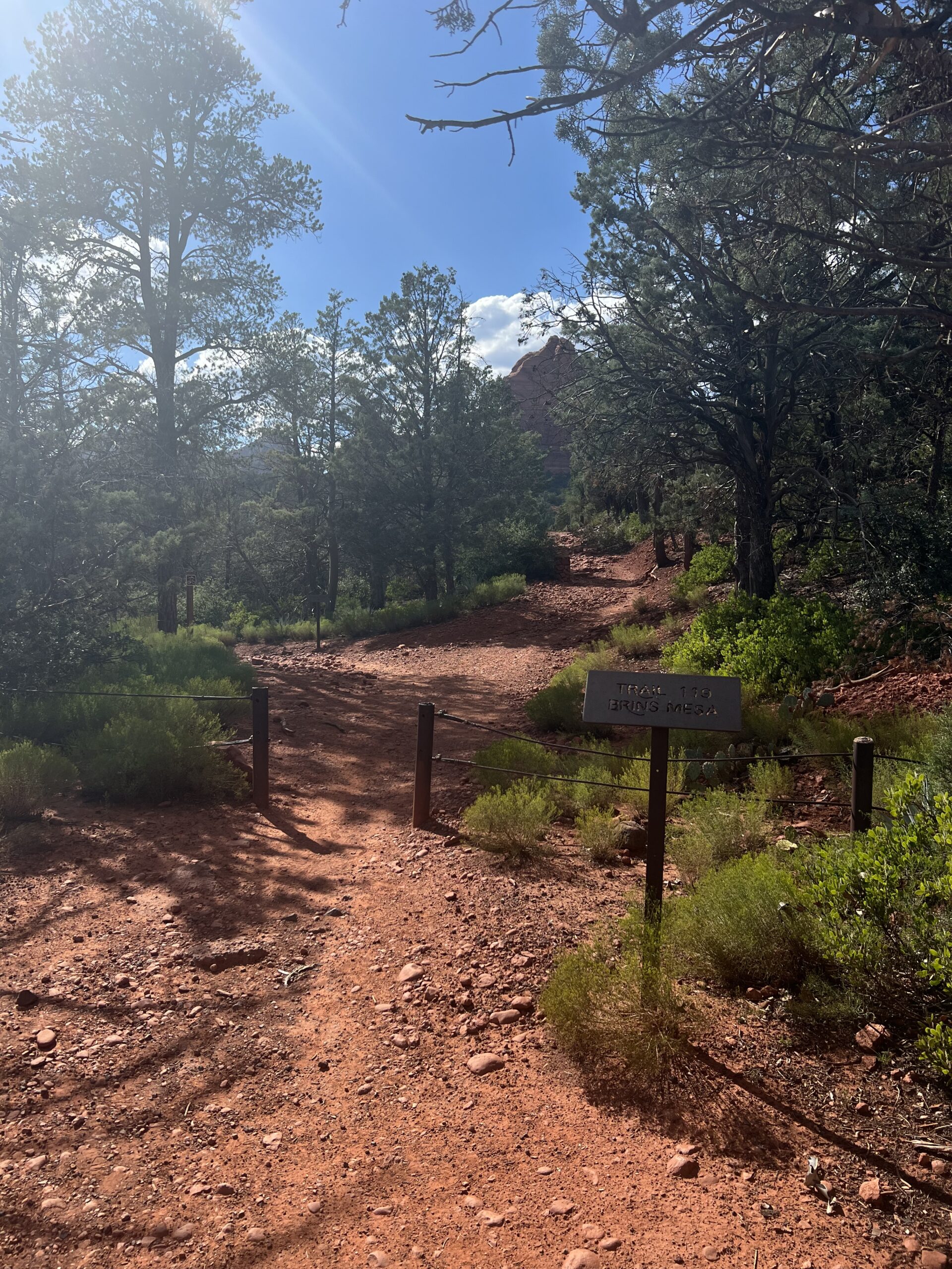 start of brins mesa trail sign