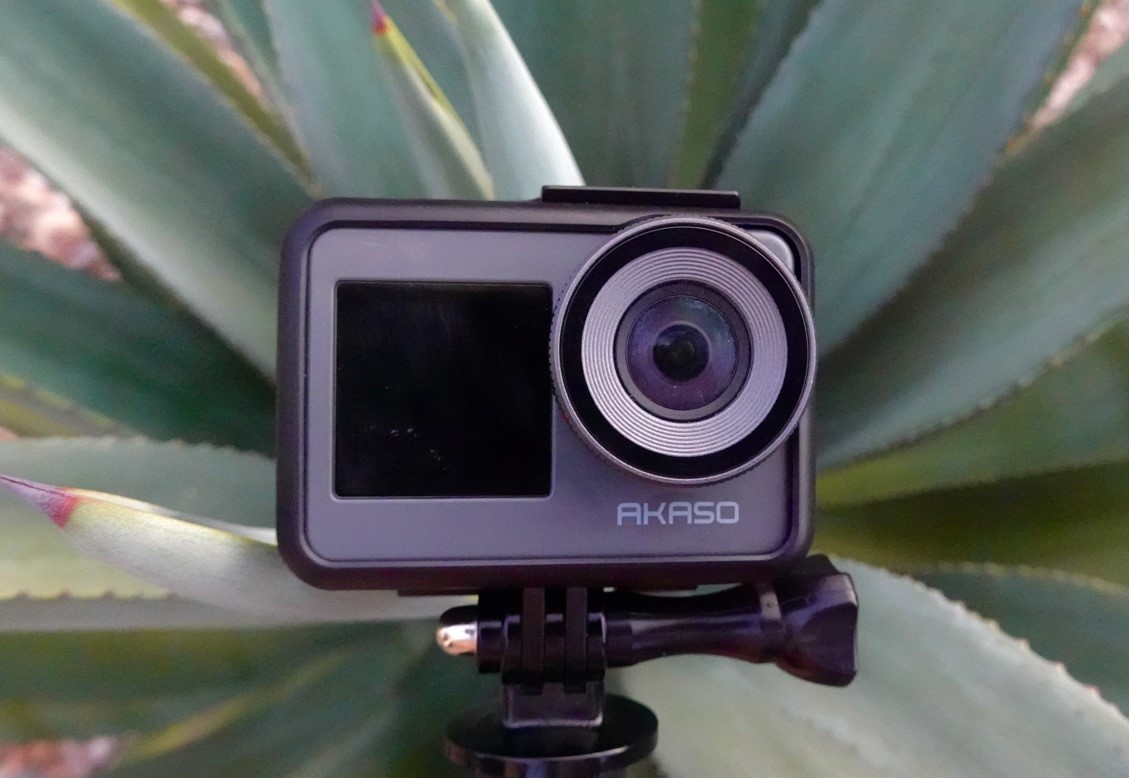 Camera with Cactus in the Background