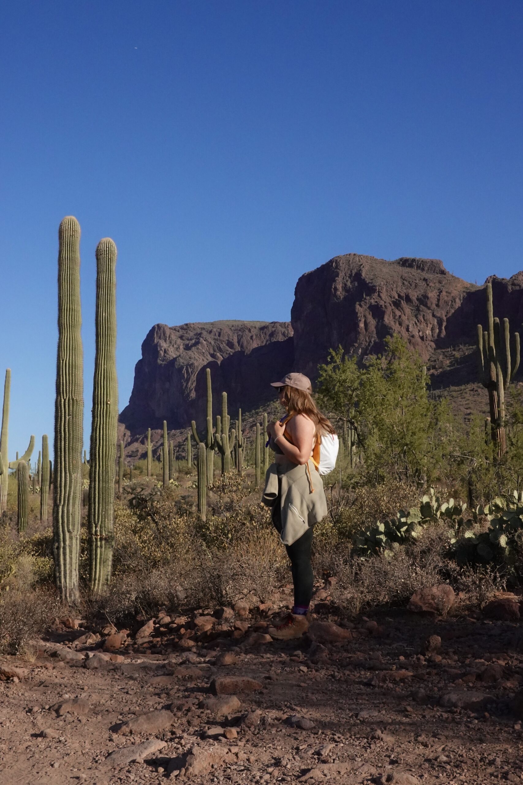 Girl in the Superstitions