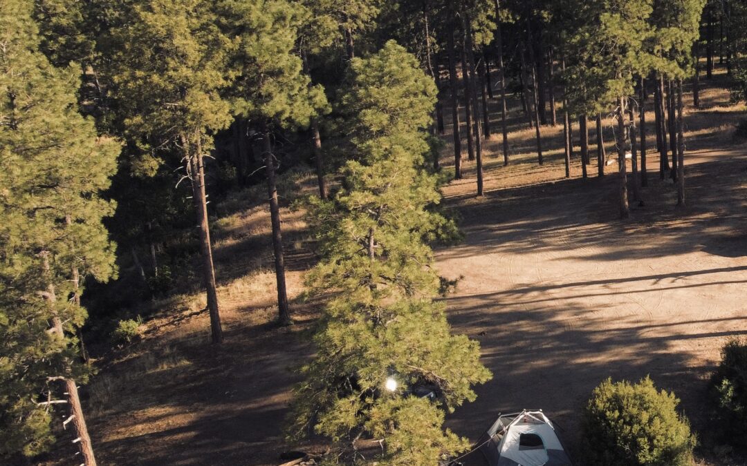 Northern Arizona Camping: My Top 5 Favorite Campsites