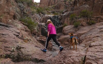 Canyon of the Waterfalls- A Post-Rain Superstition Mountains Hike