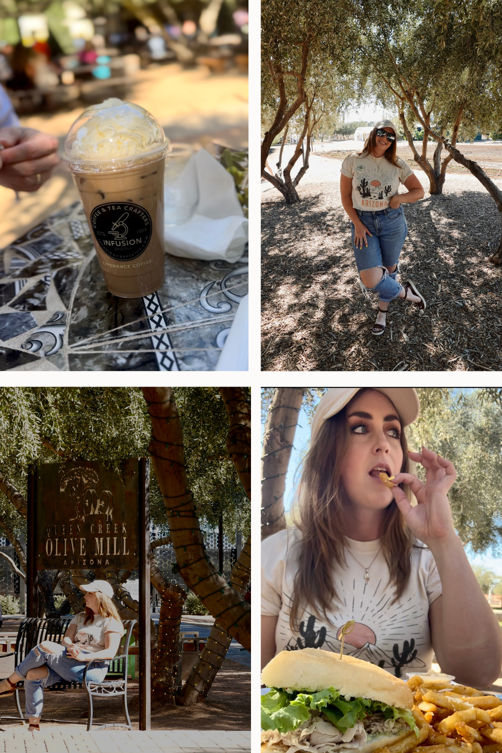 coffee shop in an olive mill